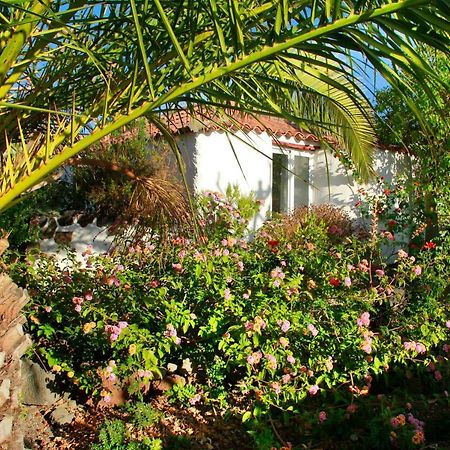 אל פאסו Finca Cosmos מראה חיצוני תמונה