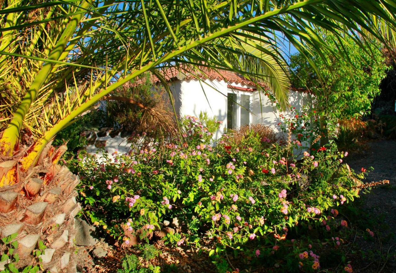 אל פאסו Finca Cosmos מראה חיצוני תמונה